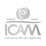 Logo-Icam2